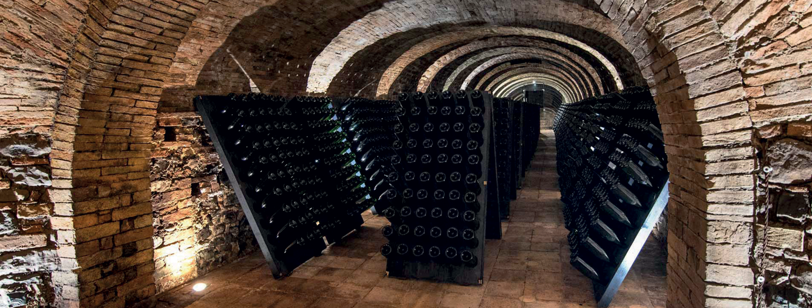 Weingut Blasi: Oberumbrien entdecken