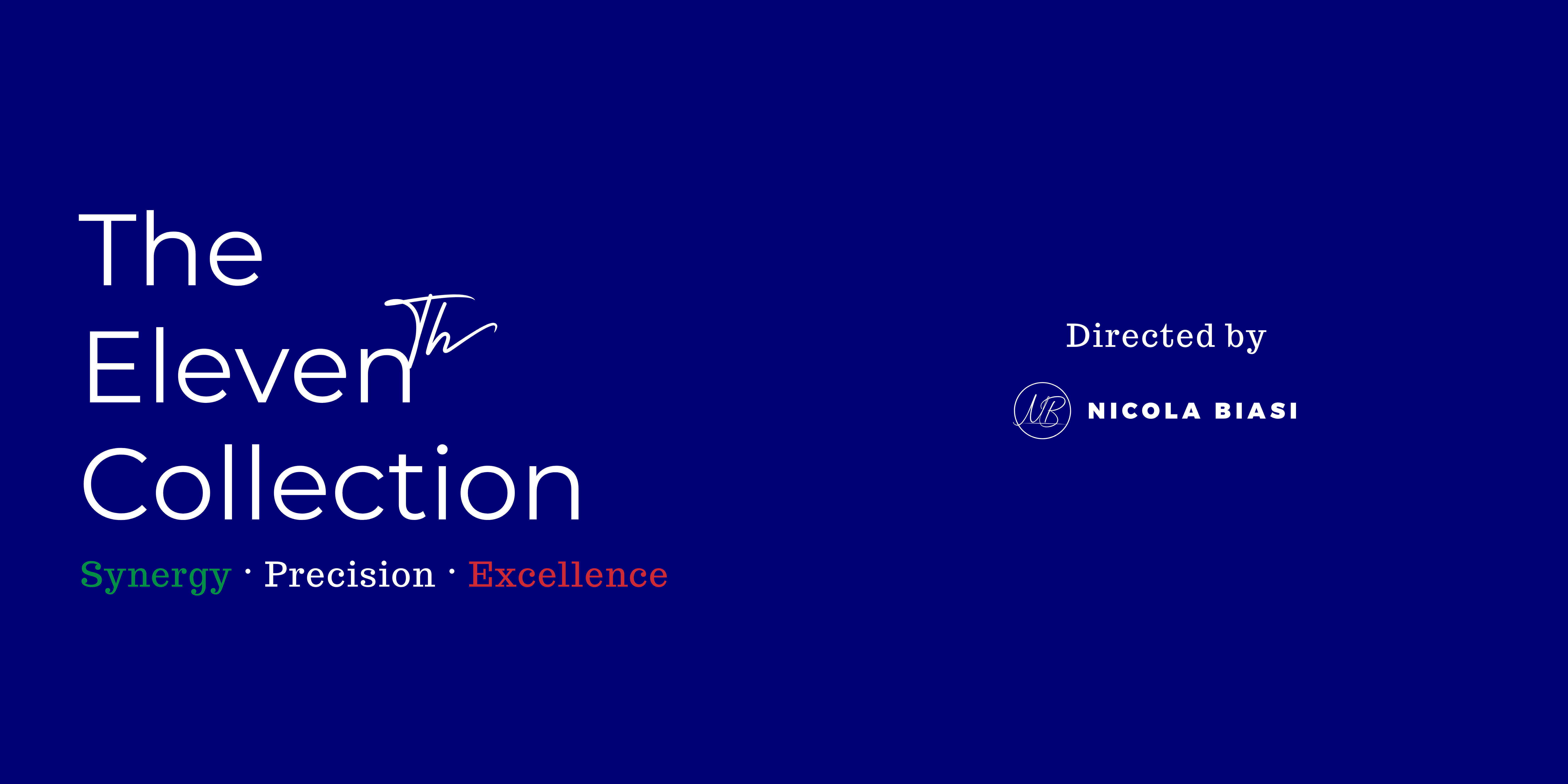 Nicola Biasi Consulting srl